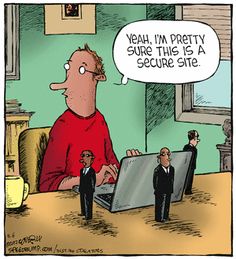 Cartoon of man sitting at laptop saying "this is a secure site"